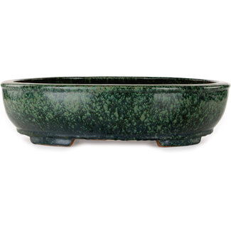  Shuuhou (Hidemi Kataoka) 390 mm ovaler grüner Bonsaitopf von Shuhou, Tokoname, Japan