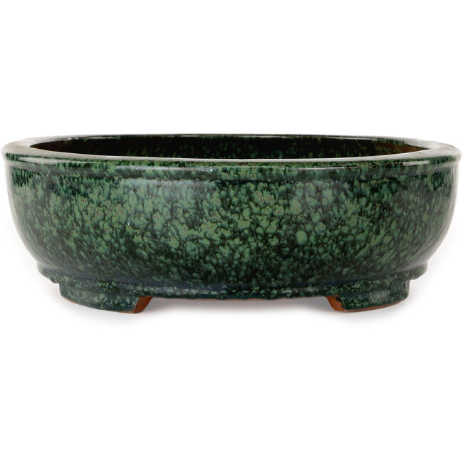 Vaso bonsai ovale verde di Shuhou - 390 x 315 x 98 mm