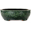 Maceta ovalada verde para bonsái de Shuhou - 390 x 315 x 98 mm