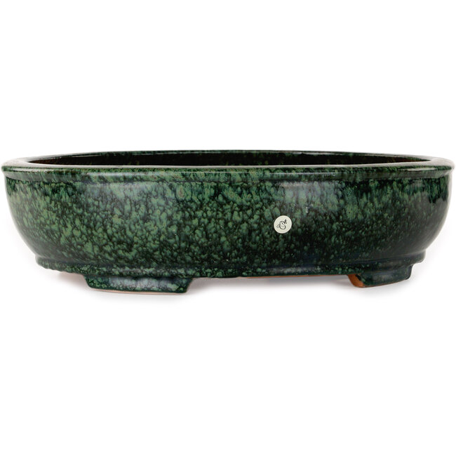 Ovale groene bonsaipot van Shuhou - 390 x 315 x 98 mm