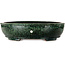 Ovaler grüner Bonsai-Topf von Shuhou – 390 x 315 x 98 mm