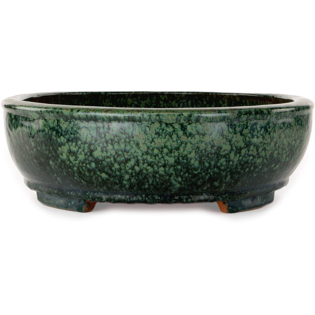 Maceta ovalada verde para bonsái de Shuhou - 390 x 315 x 98 mm