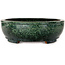 Pot ovale vert pour bonsaï de Shuhou - 390 x 315 x 98 mm