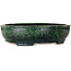 Oval green bonsai pot by Shuhou - 390 x 315 x 98 mm
