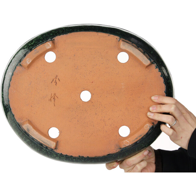 Maceta ovalada verde para bonsái de Shuhou - 390 x 315 x 98 mm
