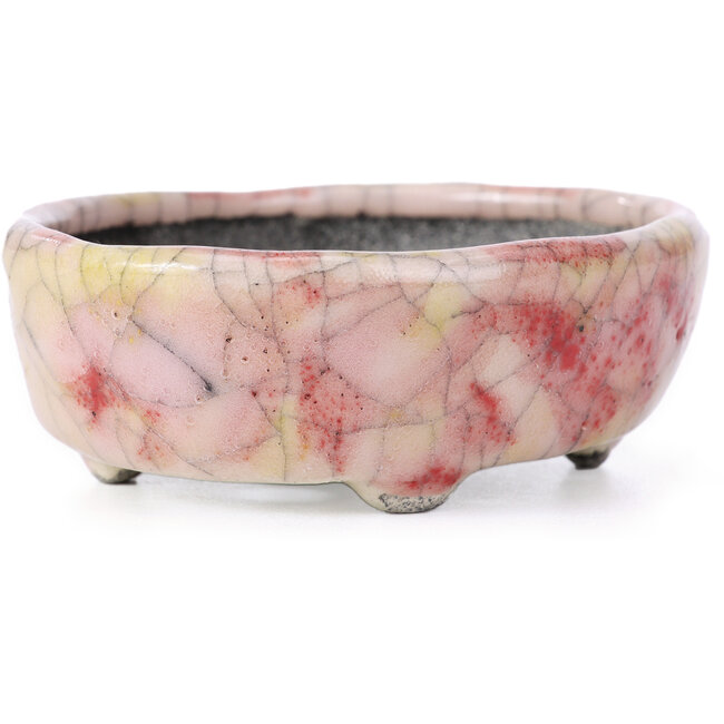 Pot à bonsaï ovale craquelé rose par Bunzan - 105 x 88 x 35 mm