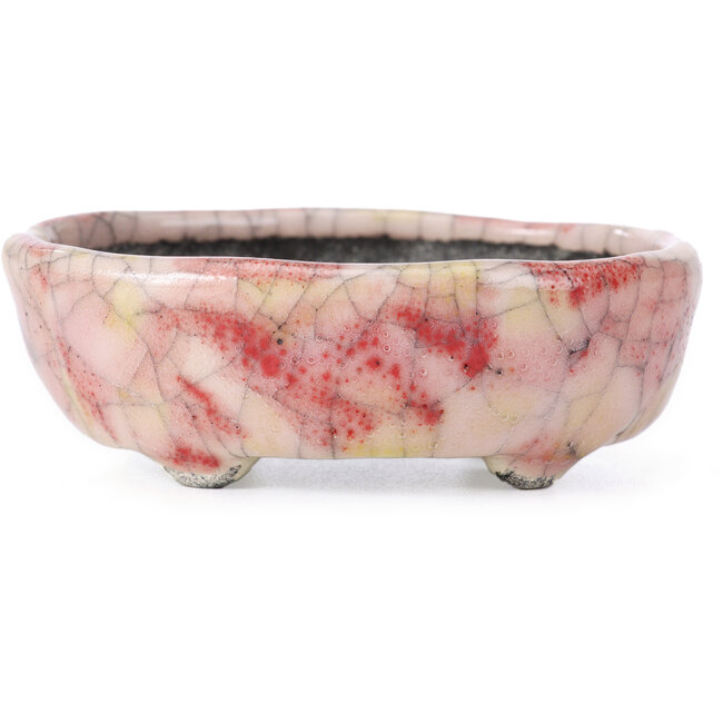 Pot à bonsaï ovale craquelé rose par Bunzan - 105 x 88 x 35 mm