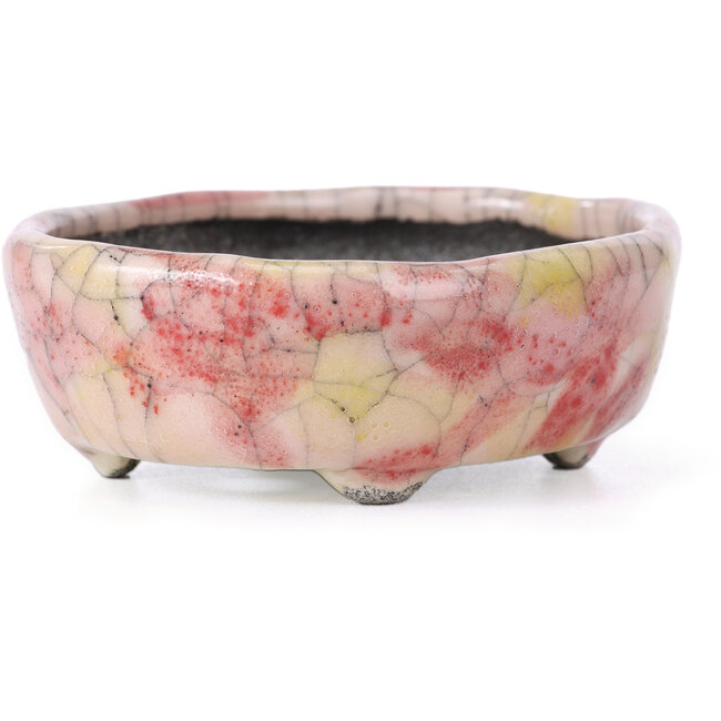 Pot à bonsaï ovale craquelé rose par Bunzan - 105 x 88 x 35 mm