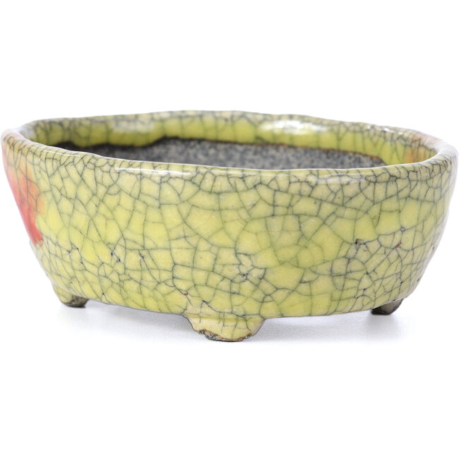 Maceta ovalada para bonsái craquelé amarillo de Bunzan - 113 x 97 x 40 mm