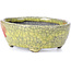 Ovale gele craquelé bonsaipot van Bunzan - 113 x 97 x 40 mm