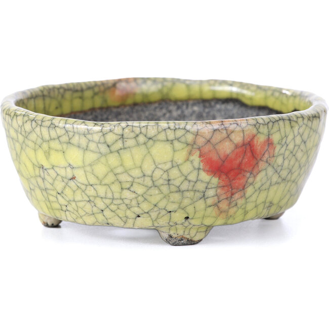 Ovaler gelber Craquelé-Bonsaitopf von Bunzan – 113 x 97 x 40 mm
