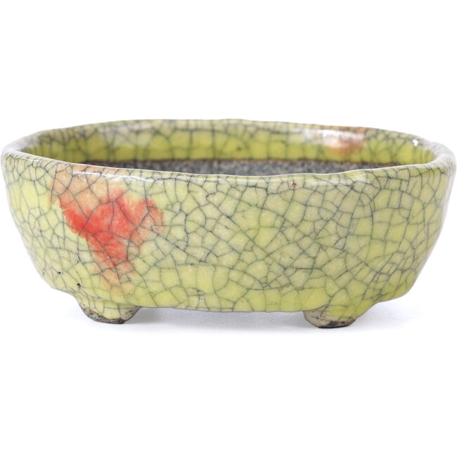 Maceta ovalada para bonsái craquelé amarillo de Bunzan - 113 x 97 x 40 mm