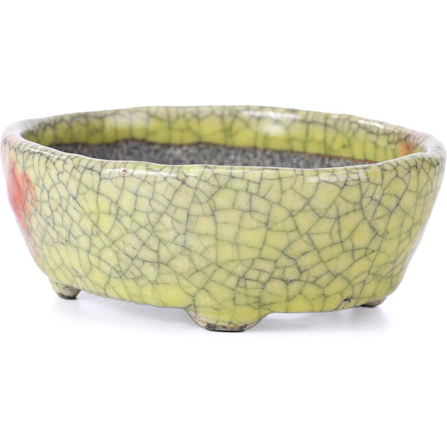 Oval yellow craquelé bonsai pot by Bunzan - 113 x 97 x 40 mm