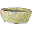 Vaso bonsai ovale giallo craquelé di Bunzan - 113 x 97 x 40 mm