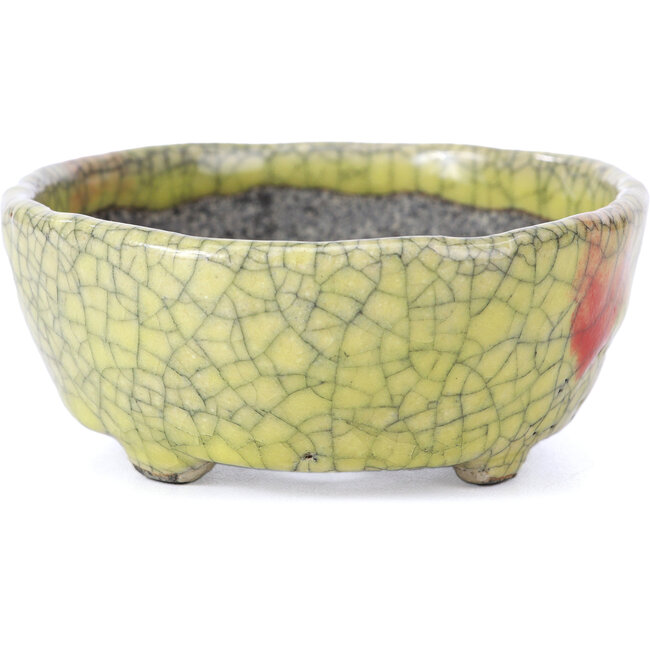 Pot à bonsaï ovale craquelé jaune par Bunzan - 113 x 97 x 40 mm