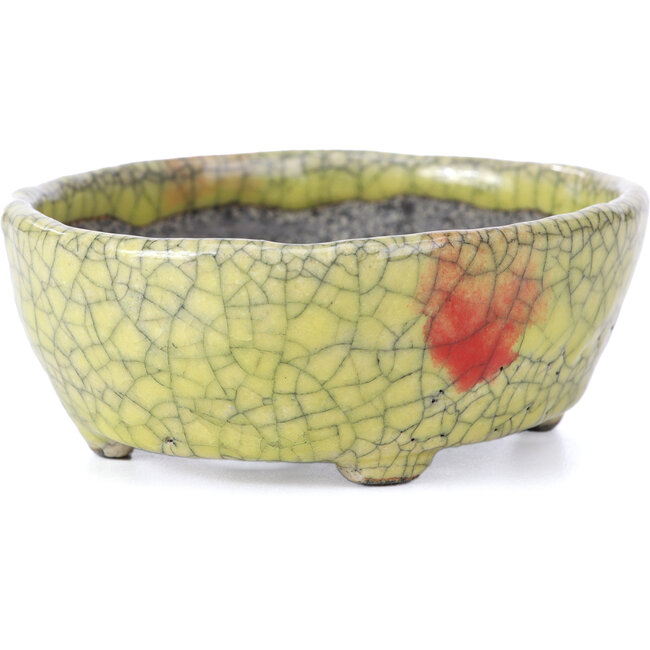 Pot à bonsaï ovale craquelé jaune par Bunzan - 113 x 97 x 40 mm