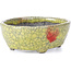 Oval yellow craquelé bonsai pot by Bunzan - 113 x 97 x 40 mm