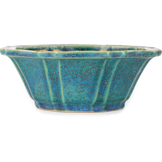 Koyou Maceta de bonsái azul loto de 205 mm de Aiba Koyou, Tokoname, Japón