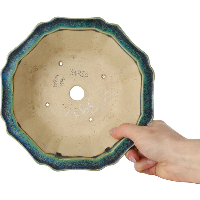 Lotusblauer Bonsaitopf von Aiba Koyou – 205 x 205 x 75 mm