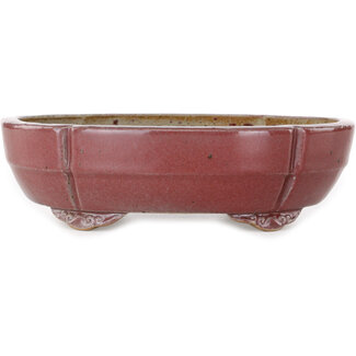 Koyou 200 mm mokko red bonsai pot by Juko Koyou, Tokoname, Japan