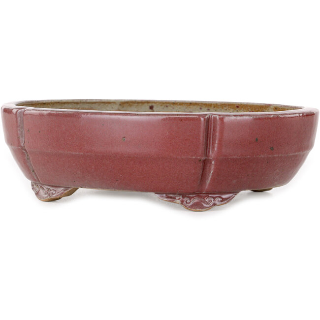 Maceta para bonsái roja Mokko de Juko Koyou - 200 x 170 x 55 mm