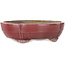 Mokko red bonsai pot by Juko Koyou - 200 x 170 x 55 mm