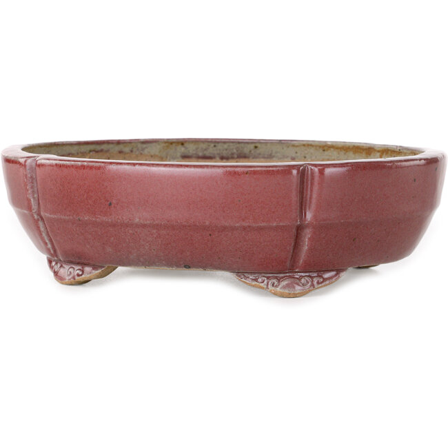 Mokko roter Bonsaitopf von Juko Koyou – 200 x 170 x 55 mm