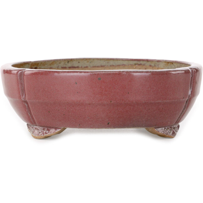 Vaso bonsai Mokko rosso di Juko Koyou - 200 x 170 x 55 mm