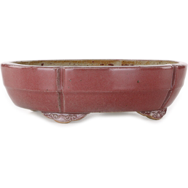 Mokko red bonsai pot by Juko Koyou - 200 x 170 x 55 mm