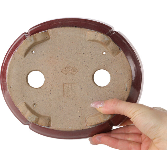 Maceta para bonsái roja Mokko de Juko Koyou - 200 x 170 x 55 mm