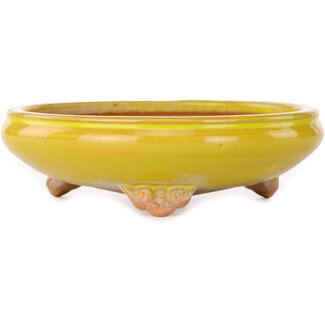 Bigei - Hirata Atsumi Vaso bonsai rotondo giallo da 130 mm di Bigei, Tokoname, Giappone