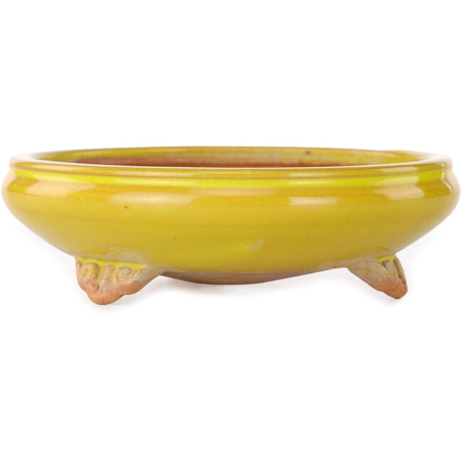 Maceta redonda amarilla para bonsái de Bigei - 130 x 130 x 38 mm