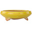Round yellow bonsai pot by Bigei - 130 x 130 x 38 mm