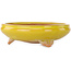 Pot à bonsaï rond jaune de Bigei - 130 x 130 x 38 mm