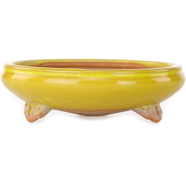 Round yellow bonsai pot by Bigei - 130 x 130 x 38 mm