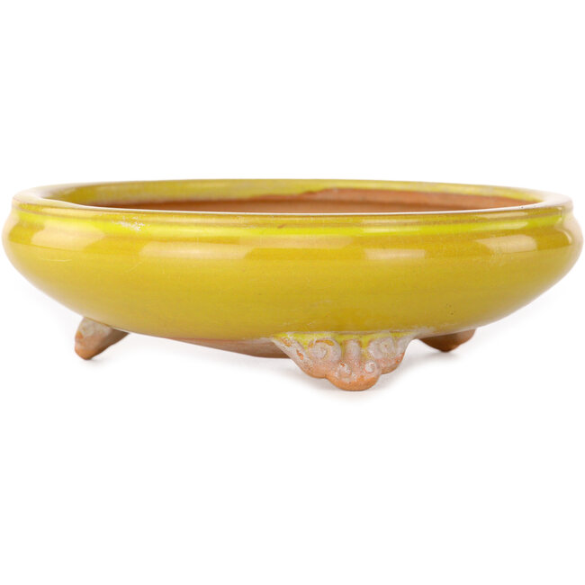 Round yellow bonsai pot by Bigei - 130 x 130 x 38 mm