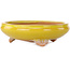 Round yellow bonsai pot by Bigei - 130 x 130 x 38 mm