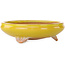 Round yellow bonsai pot by Bigei - 130 x 130 x 38 mm