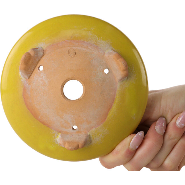Ronde gele bonsaipot van Bigei - 130 x 130 x 38 mm