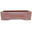 Maceta rectangular sin esmaltar para bonsái de Bigei - 192 x 145 x 50 mm