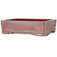 Rectangular unglazed bonsai pot by Bigei - 192 x 145 x 50 mm