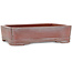 Rectangular unglazed bonsai pot by Bigei - 192 x 145 x 50 mm
