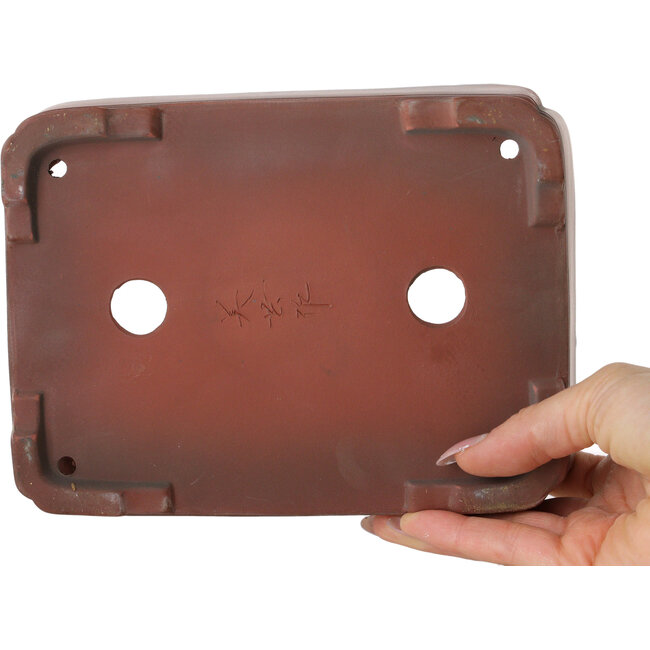 Pot à bonsaï rectangulaire non émaillé de Bigei - 192 x 145 x 50 mm