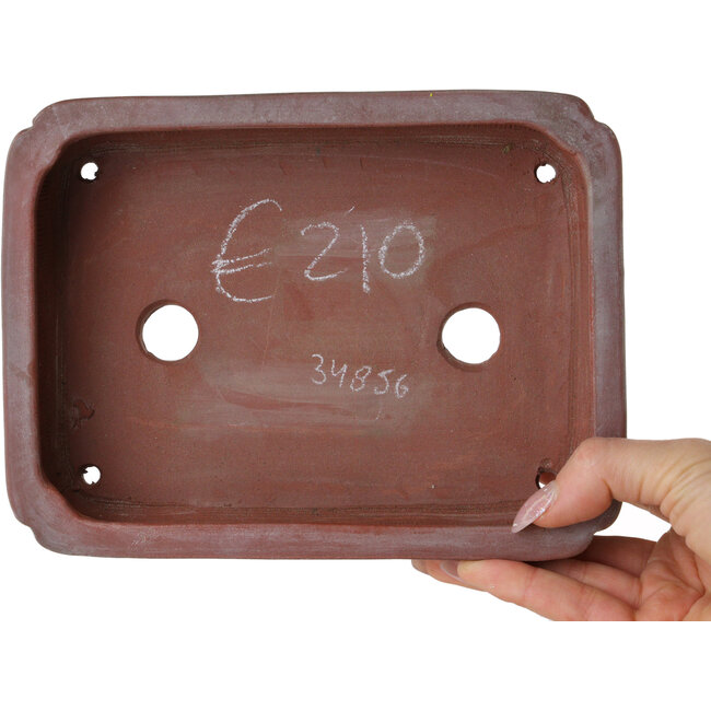 Pot à bonsaï rectangulaire non émaillé de Bigei - 192 x 145 x 50 mm