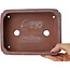 Rectangular unglazed bonsai pot by Bigei - 192 x 145 x 50 mm