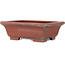 Maceta rectangular sin esmaltar para bonsái de Bigei - 165 x 130 x 55 mm
