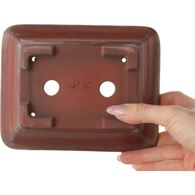 Maceta rectangular sin esmaltar para bonsái de Bigei - 165 x 130 x 55 mm