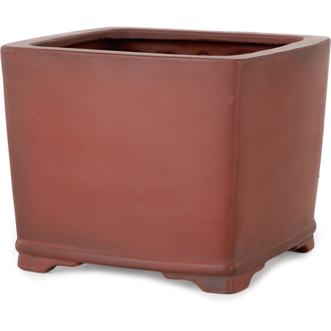 Maceta cuadrada sin esmaltar para bonsái de Bigei - 120 x 120 x 98 mm