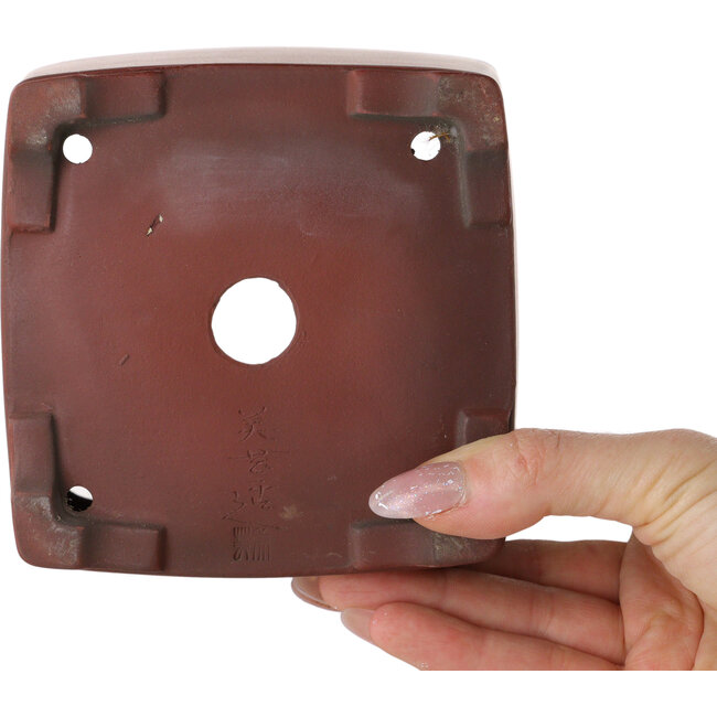 Maceta cuadrada sin esmaltar para bonsái de Bigei - 120 x 120 x 98 mm