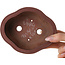 Maceta para bonsái Mokko sin esmaltar de Bigei - 137 x 113 x 55 mm